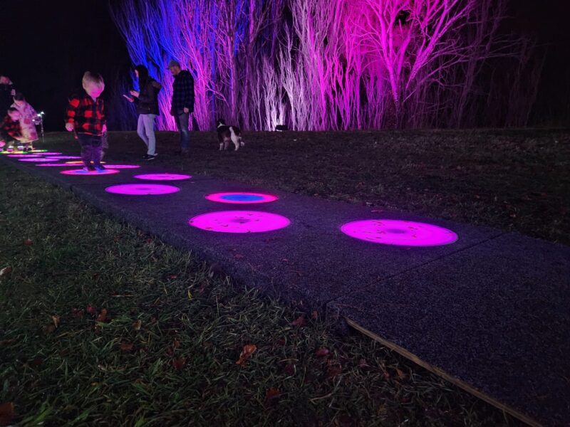 kaiapoi-lights-light_steps-1