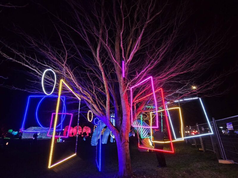 kaiapoi-lights-rectangles
